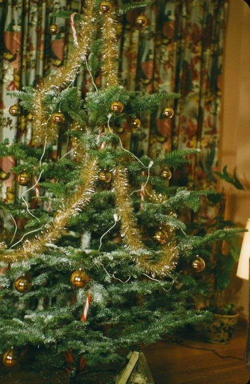 Coluccio_Law_Seattle_ChristmasTree