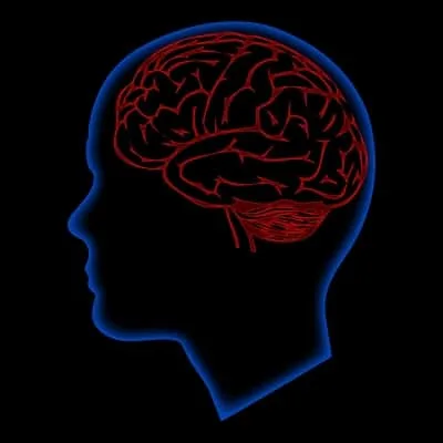Brain injuries-scan-Seattle-Injury-Law