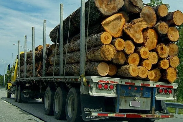 Log truck crash-Washington State-Coluccio Law