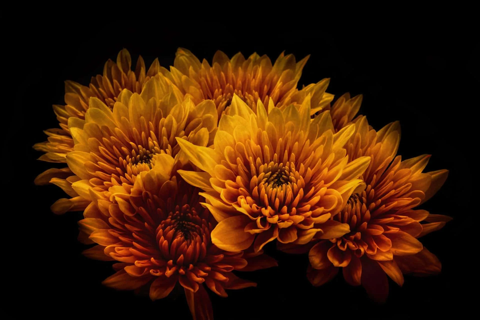 Flowers-for-crash-victims-day