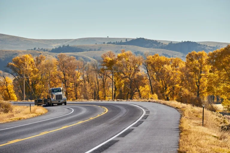 Long-Term Effects of Truck Accident Injuries